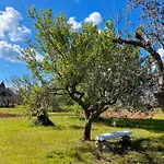 Li Mori Lizzanello