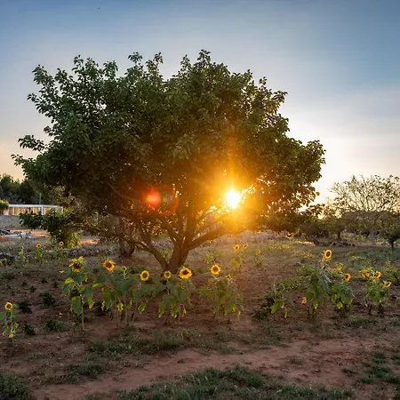 Li Mori Bed and Breakfast 3*