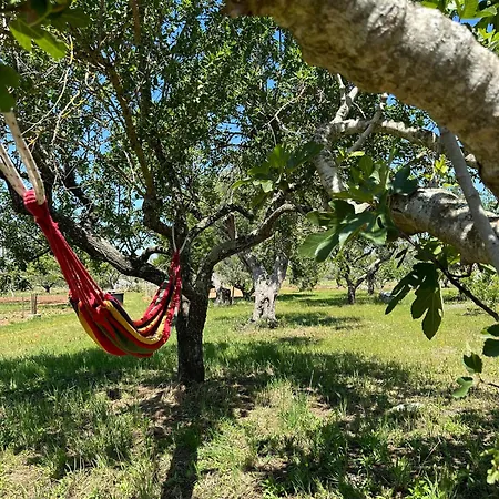 Li Mori Bed and Breakfast Lizzanello