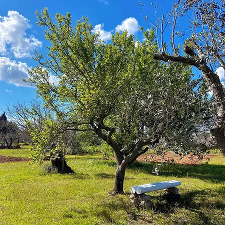 Li Mori Bed & Breakfast