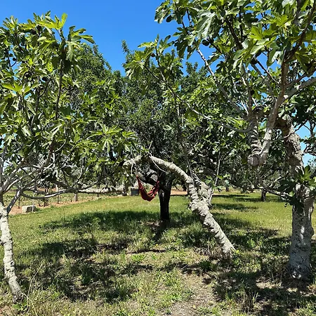 Li Mori Frühstückspension