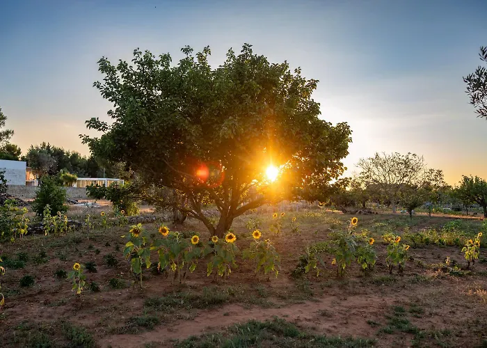 Li Mori Bed & Breakfast 3*