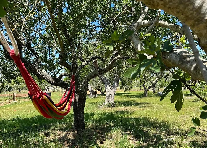 Li Mori Bed & Breakfast Lizzanello