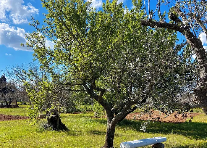 Li Mori ベッド・アンド・ブレックファスト