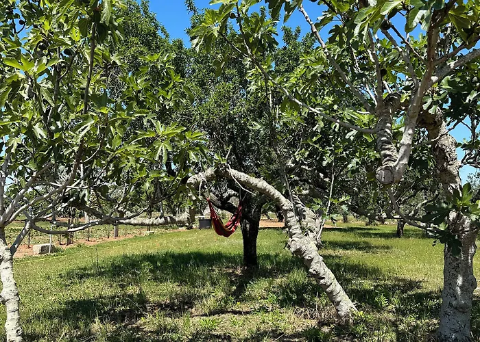 Li Mori Bed & Breakfast